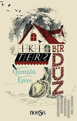 İki Ters Bir Düz | Kitap Ambarı