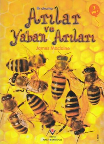 İlk Okuma - Arılar ve Yaban Arıları | Kitap Ambarı