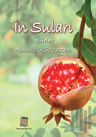 İn Suları | Kitap Ambarı