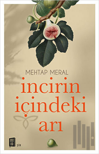 İncirin İçindeki Arı | Kitap Ambarı