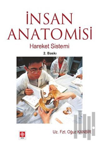 İnsan Anatomisi | Kitap Ambarı