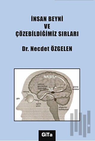 İnsan Beyni ve Çözebildiğimiz Sırları | Kitap Ambarı