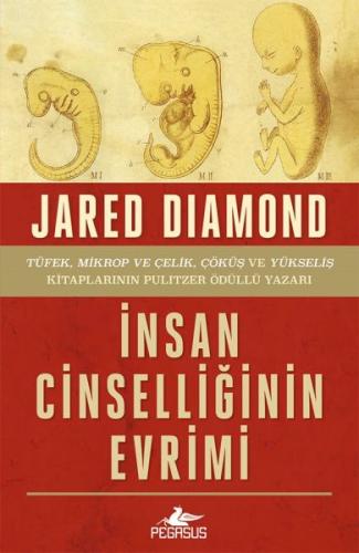 İnsan Cinselliğinin Evrimi | Kitap Ambarı