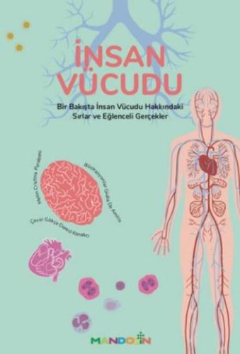 İnsan Vücudu | Kitap Ambarı