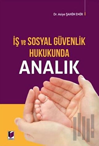 İş ve Sosyal Güvenlik Hukukunda Analık | Kitap Ambarı