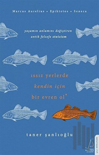 Issız Yerlerde Kendin İçin Bir Evren Ol | Kitap Ambarı