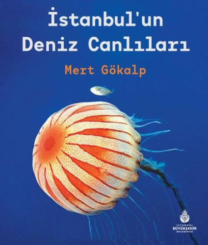 İstanbul'un Deniz Canlıları (Ciltli) | Kitap Ambarı