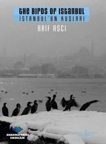 İstanbul’un Kuşları / The Birds ofm Istanbul | Kitap Ambarı