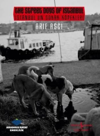 İstanbul'un Sokak Köpekleri / The Street dogs Of Istanbul | Kitap Amba