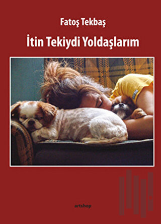 İtin Tekiydi Yoldaşlarım | Kitap Ambarı