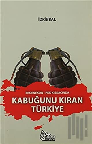 Kabuğunu Kıran Türkiye | Kitap Ambarı