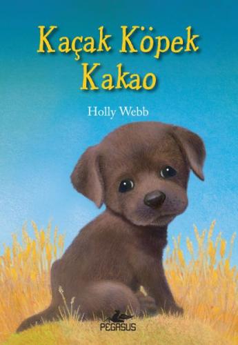 Kaçak Köpek Kakao | Kitap Ambarı