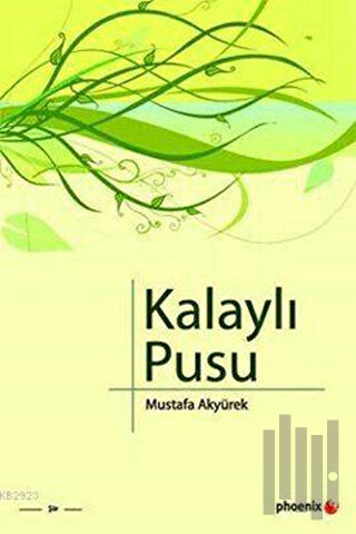 Kalaylı Pusu | Kitap Ambarı