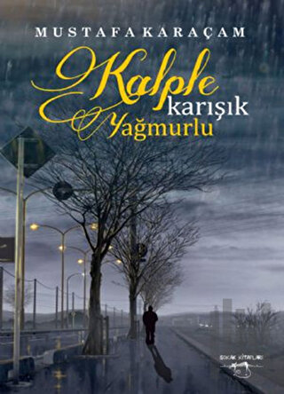 Kalple Karışık Yağmurlu | Kitap Ambarı