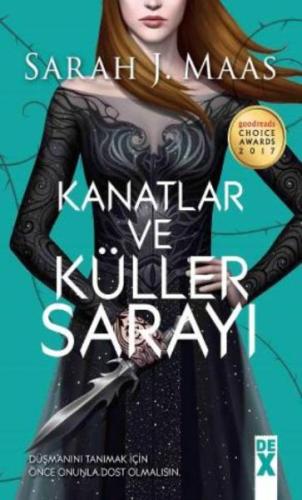 Kanatlar ve Küller Sarayı | Kitap Ambarı