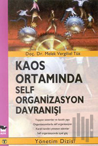 Kaos Ortamında Self Organizasyon Davranışı | Kitap Ambarı