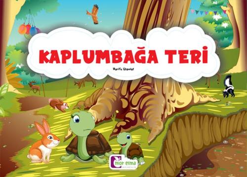 Kaplumbağa Teri | Kitap Ambarı