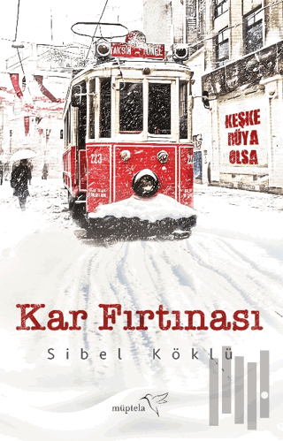 Kar Fırtınası | Kitap Ambarı