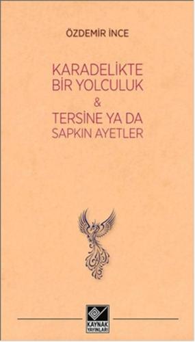 Kara Delikte Bir Yolculuk ve Tersine ya da Sapkın Ayetler | Kitap Amba