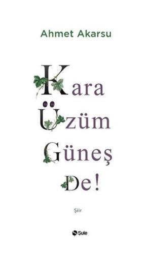 Kara Üzüm Güneş De | Kitap Ambarı