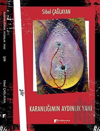 Karanlığımın Aydınlık Yanı | Kitap Ambarı