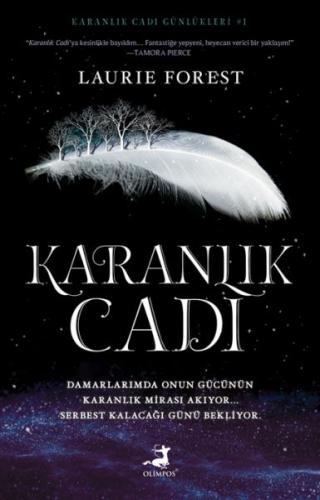 Karanlık Cadı | Kitap Ambarı