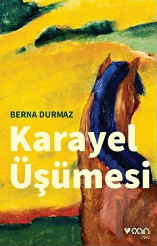 Karayel Üşümesi | Kitap Ambarı