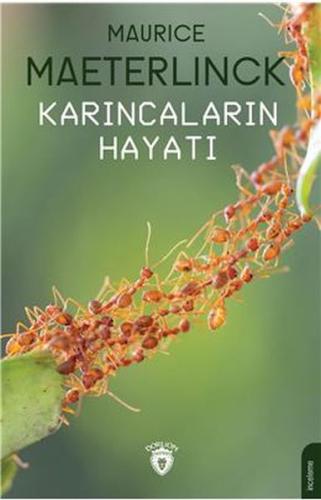 Karıncaların Hayatı | Kitap Ambarı