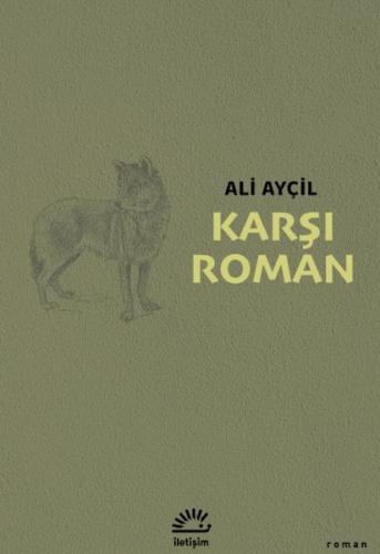 Karşı Roman | Kitap Ambarı