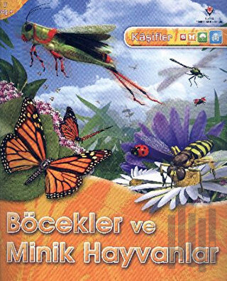 Kaşifler Böcekler ve Minik Hayvanlar | Kitap Ambarı