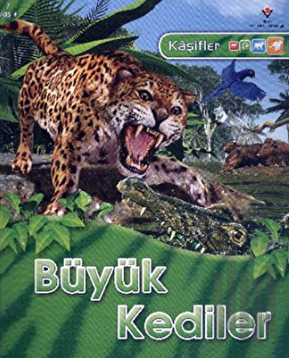 Kaşifler Büyük Kediler | Kitap Ambarı