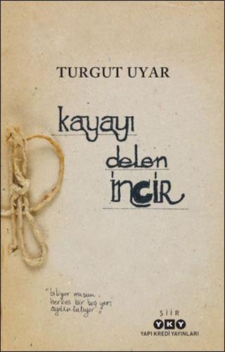 Kayayı Delen İncir | Kitap Ambarı