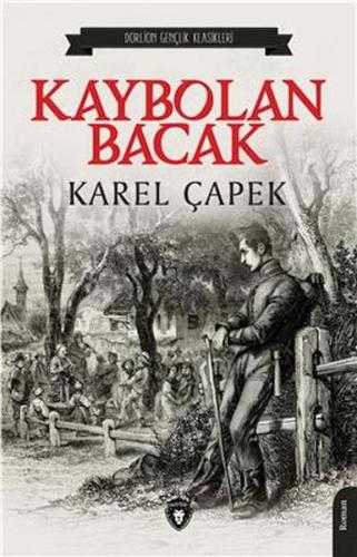 Kaybolan Bacak | Kitap Ambarı