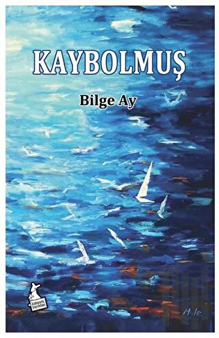 Kaybolmuş | Kitap Ambarı