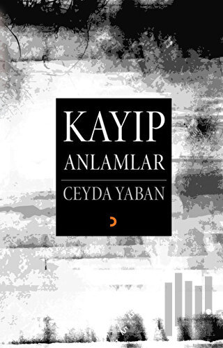 Kayıp Anlamlar | Kitap Ambarı