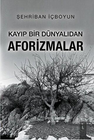 Kayıp Bir Dünyalıdan Afo-rizmalar | Kitap Ambarı