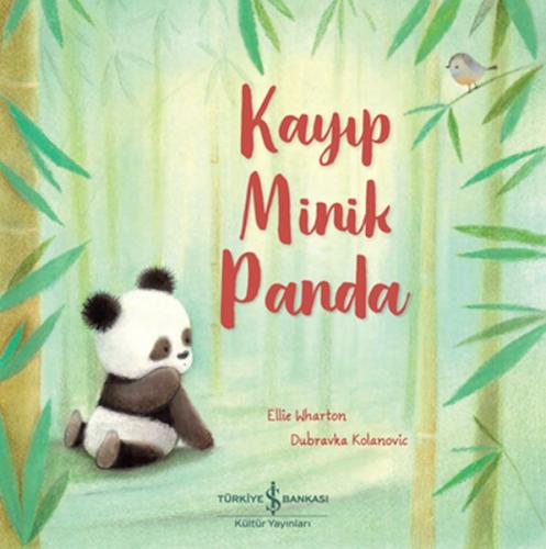 Kayıp Minik Panda | Kitap Ambarı