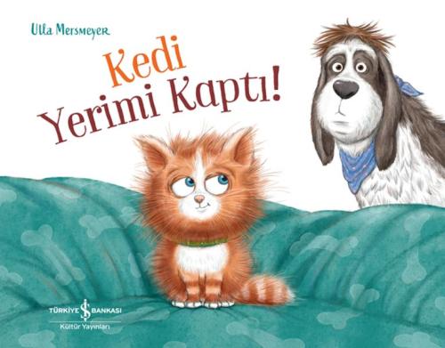 Kedi Yerimi Kaptı! | Kitap Ambarı