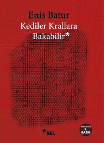 Kediler Krallara Bakabilir | Kitap Ambarı