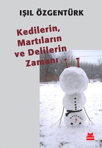 Kedilerin, Martıların ve Delilerin Zamanı | Kitap Ambarı