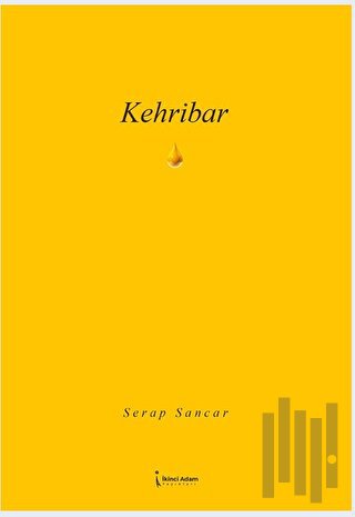 Kehribar | Kitap Ambarı