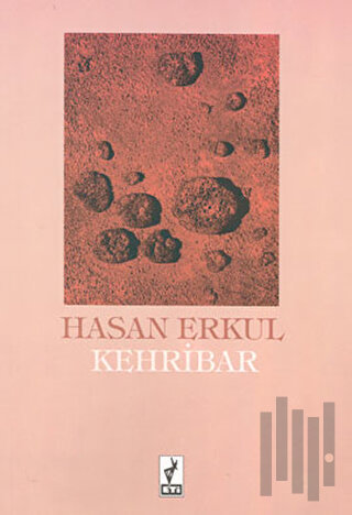 Kehribar | Kitap Ambarı