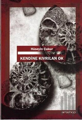 Kendine Kıvrılan Ok | Kitap Ambarı