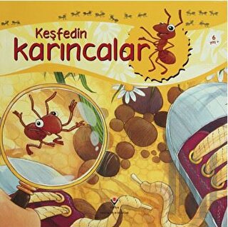 Keşfedin - Karıncalar | Kitap Ambarı