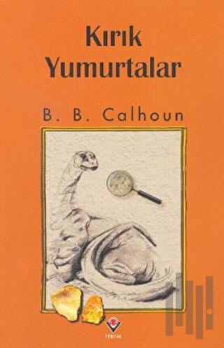 Kırık Yumurtalar | Kitap Ambarı