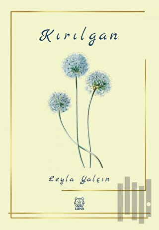 Kırılgan | Kitap Ambarı