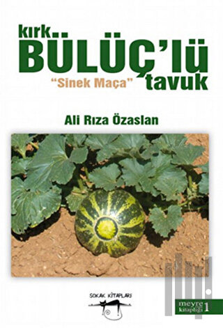 Kırk Bülüç’lü Tavuk | Kitap Ambarı