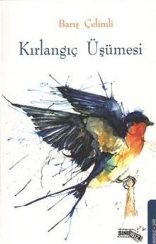 Kırlangıç Üşümesi | Kitap Ambarı