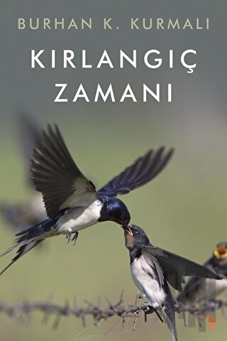 Kırlangıç Zamanı | Kitap Ambarı