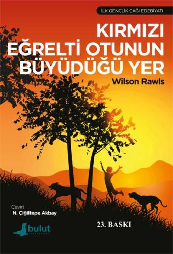 Kırmızı Eğrelti Otunun Büyüdüğü Yer | Kitap Ambarı